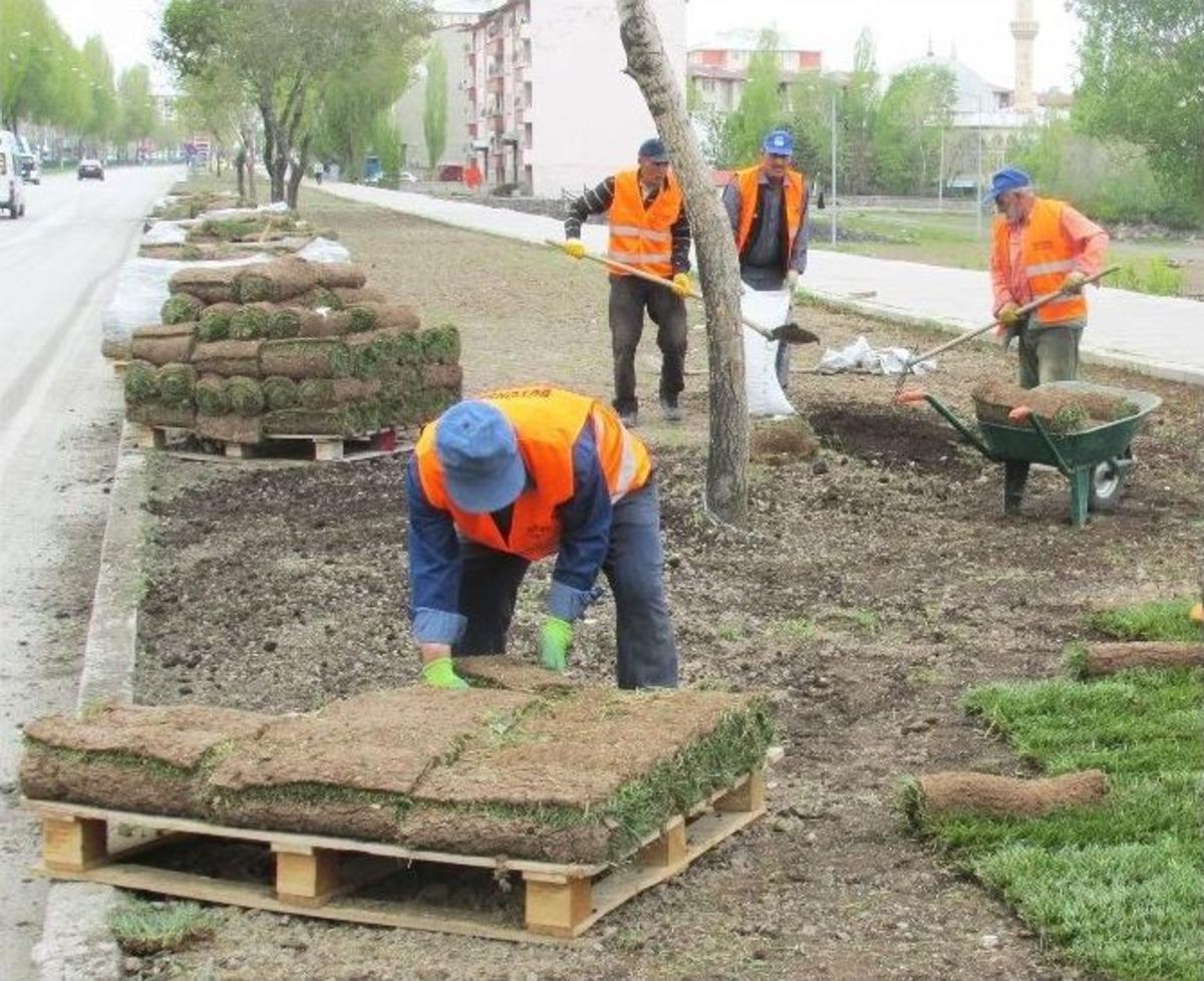 B&uuml;y&uuml;kşehir, 150 Bin Metrekareye Hazır &Ccedil;im Seriyor