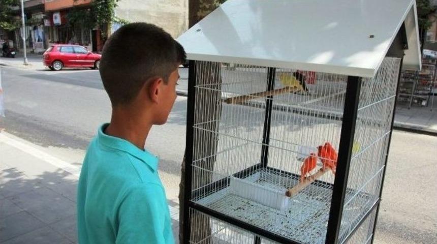 Kuşlar Banyo Sulukları İle Serinletiliyor