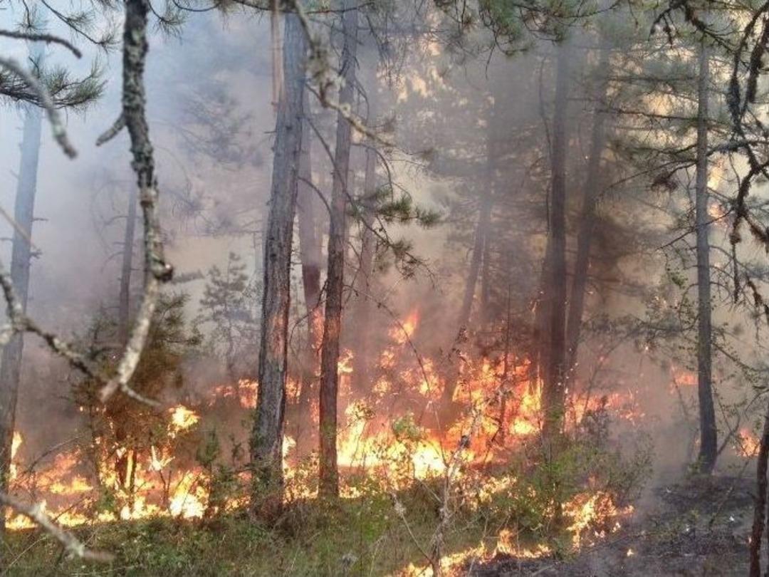 Karab&uuml;k&rsquo;te B&uuml;y&uuml;k Orman Yangını