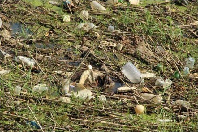 Sökeli Üretici Menderes'i Kurtarmak Için Kolları Sıvadı