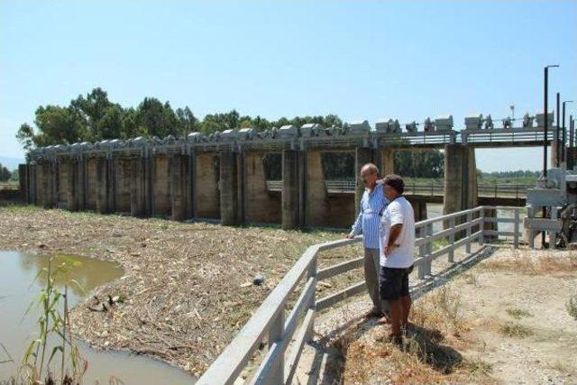 Sökeli Üretici Menderes'i Kurtarmak Için Kolları Sıvadı