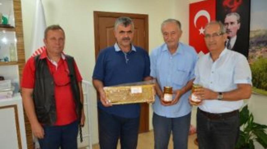 Ankara&rsquo;da Arıcılar Bal Hasadına Başladı