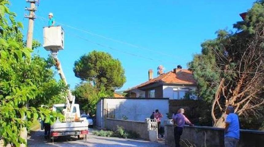 R&uuml;zgarın Etkisiyle Ağa&ccedil; Caminin &Uuml;zerine Devirdi
