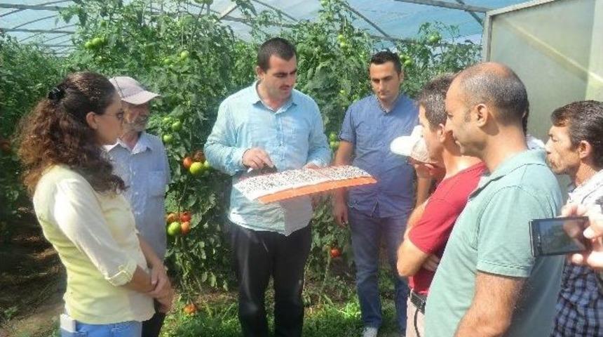 &Ccedil;ift&ccedil;iye Tarlada Eğitim