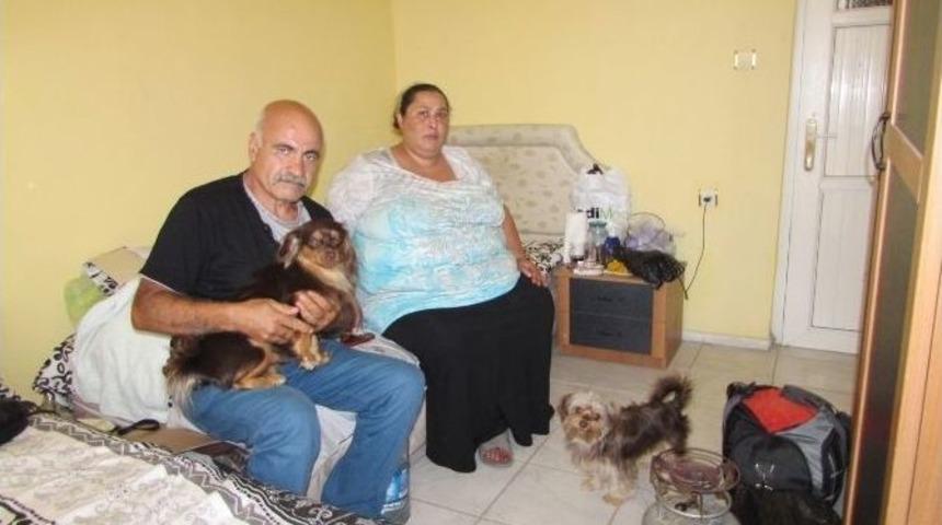 Mutlu Bir Yuva Hayaliyle Geldiler, Benzinliğe Sığındılar