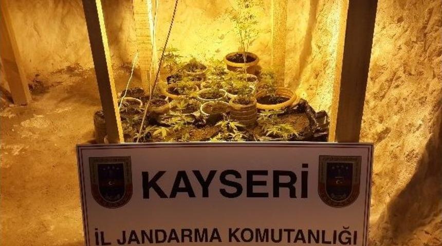 Mağarada Kenevir &Uuml;retimine Jandarma Baskını