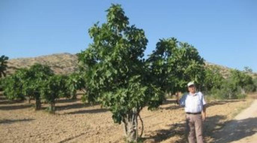 O Taş Ocağı Malzeme Temininden Sonra Kapatılacak