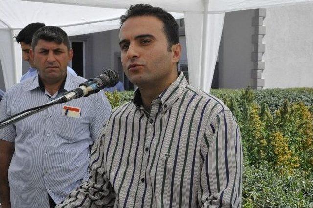 Kahramanmaraş&rsquo;ta İlk Aspir Hasadı Yapıldı 2