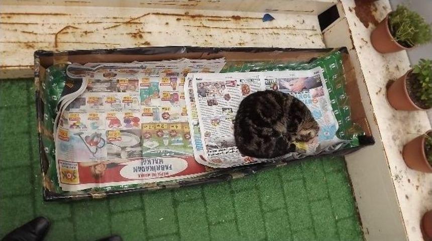 &rsquo;prens&rsquo;e Sadece Sevgi Yetiyor