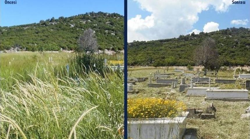 B&uuml;y&uuml;kşehir&rsquo;den 822 Mezarlık Alanına Temizlik