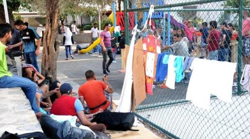 Bodrum'da Sığınmacı &Ccedil;ıkmazı