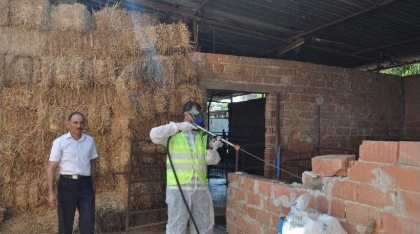 Nazilli&rsquo;de İla&ccedil;lama &Ccedil;alışmaları S&uuml;r&uuml;yor