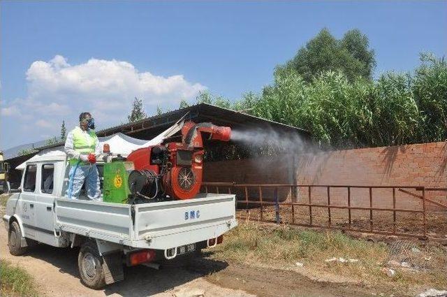 Nazilli’de İlaçlama Çalışmaları Sürüyor