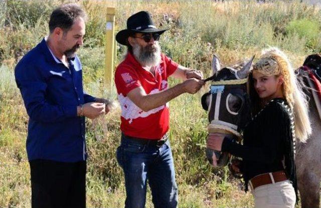 Kuaf&ouml;r, Cirit&ccedil;i Seda nın Sa&ccedil;ları Ile Atının Yelesini &Ouml;rd&uuml; 1