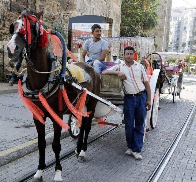 Antalyalı Faytonculardan Hayvanseverlerin Eylemine Tepki 1