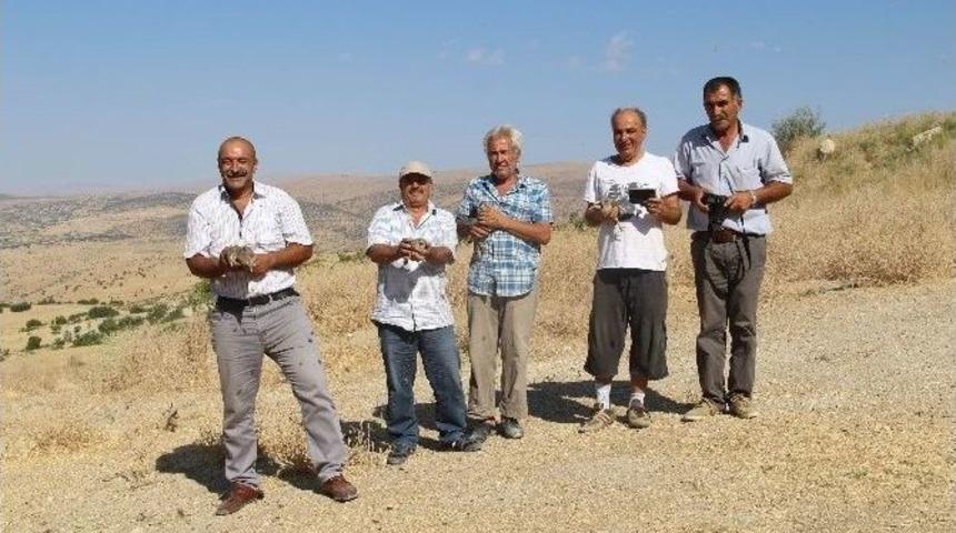 &Ccedil;emişgezek&rsquo;te 250 Kınalı Keklik Doğaya Salındı