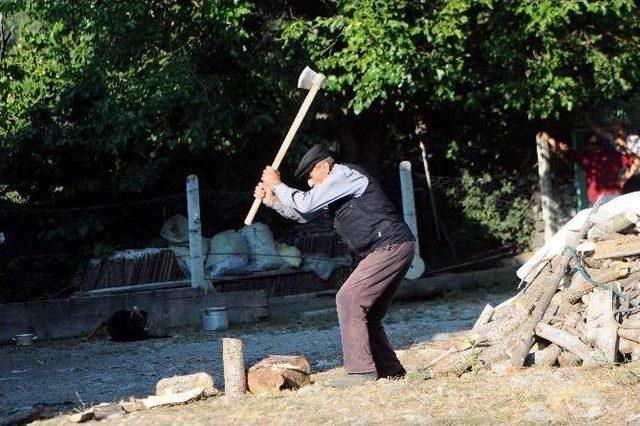 K&ouml;le Olarak Geldikleri K&ouml;ye, Muhtar Oldular 2