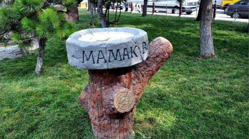 Mamak Belediyesi Parklara Kuş Yemliği Ve Suluk Yapıyor