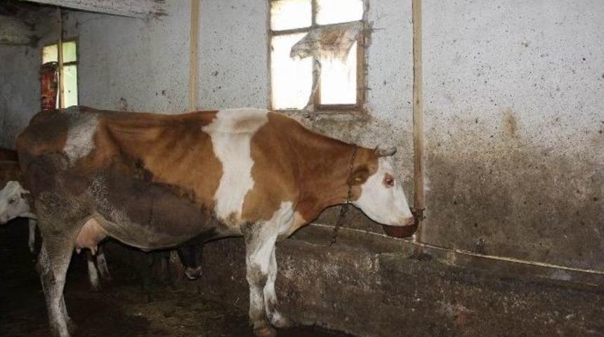 Ekonomiye 1 Milyon Liralık Katkı