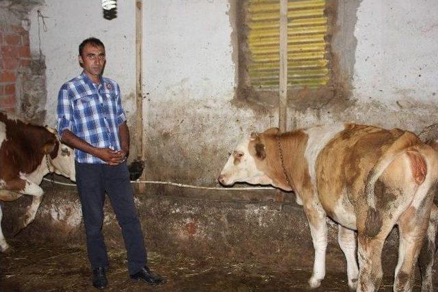 Ekonomiye 1 Milyon Liralık Katkı 1