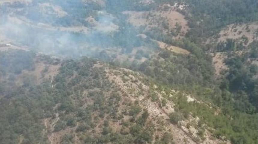 20 D&ouml;n&uuml;m Tarım Arazisi Yandı