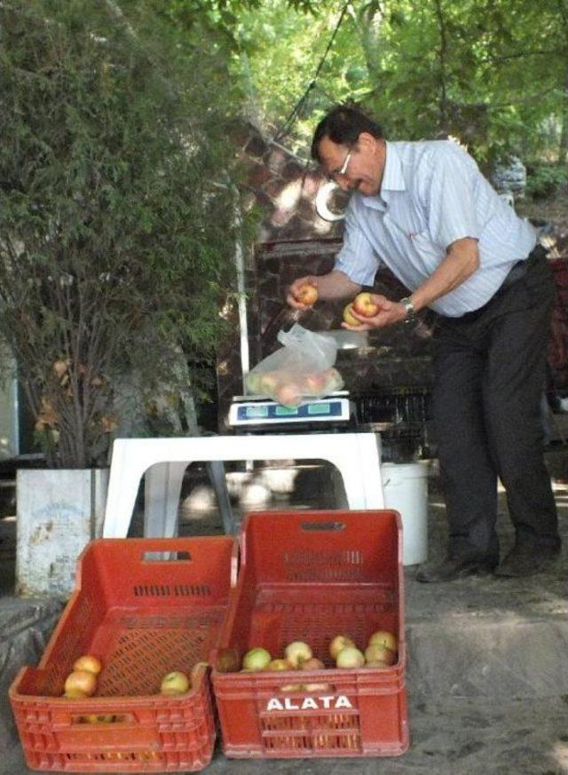 Eski Belediye Başkanı Elma Satarak Geçiniyor