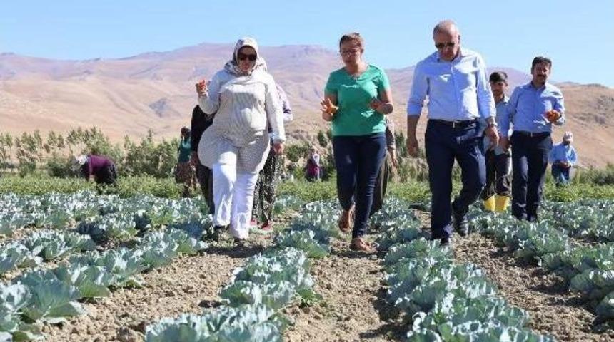 G&uuml;rpınar Belediyesi A&ccedil;ık Sera Kurdu