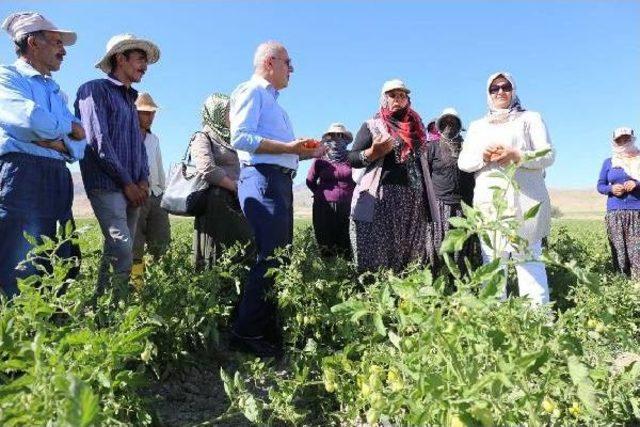 Gürpınar Belediyesi Açık Sera Kurdu