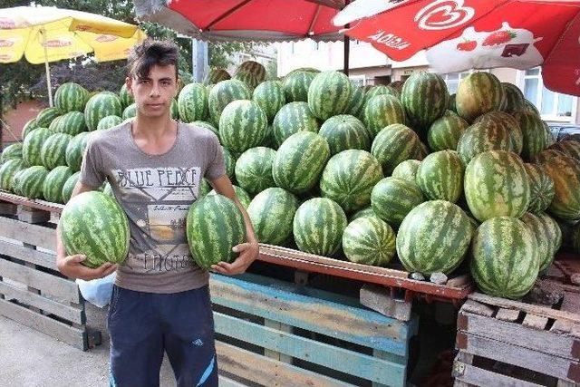 Edirne Valisi Şahin’den Karpuz Üreticilerine ‘trakya’ Usulü Destek