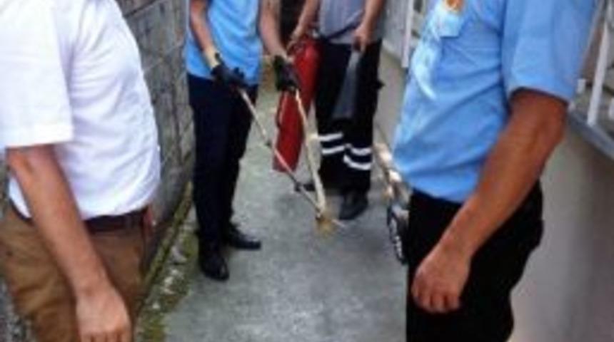 Depoya Giren Yılan Korkuttu