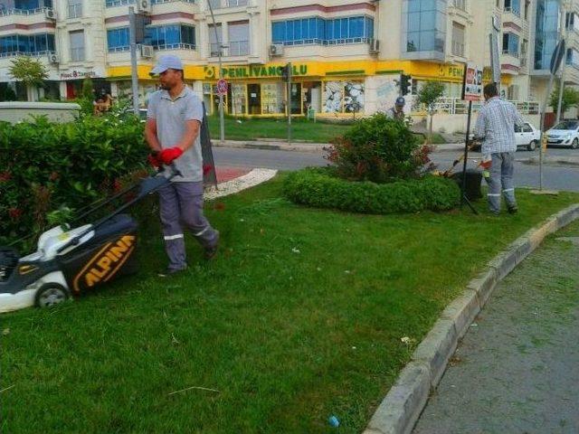 Alaşehir Park Ve Bah&ccedil;eler M&uuml;d&uuml;rl&uuml;ğ&uuml;&rsquo;nden Yoğun Mesai 1