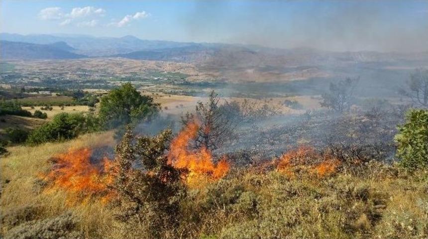 Akıncılar&rsquo;da 60 Hektar Ormanlık Alan K&uuml;l Oldu