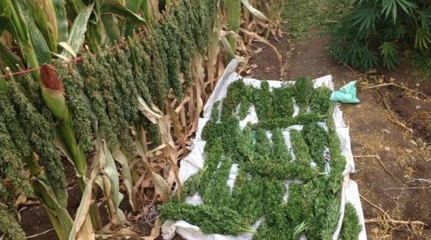 Diyarbakır&rsquo;da Silah Ve Uyuşturucu Operasyonu