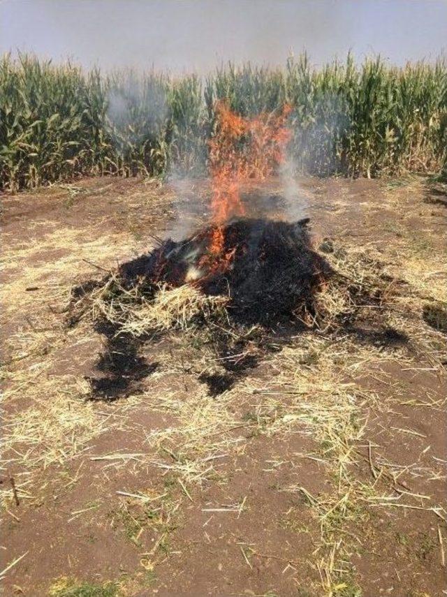 Diyarbakır’da Silah Ve Uyuşturucu Operasyonu