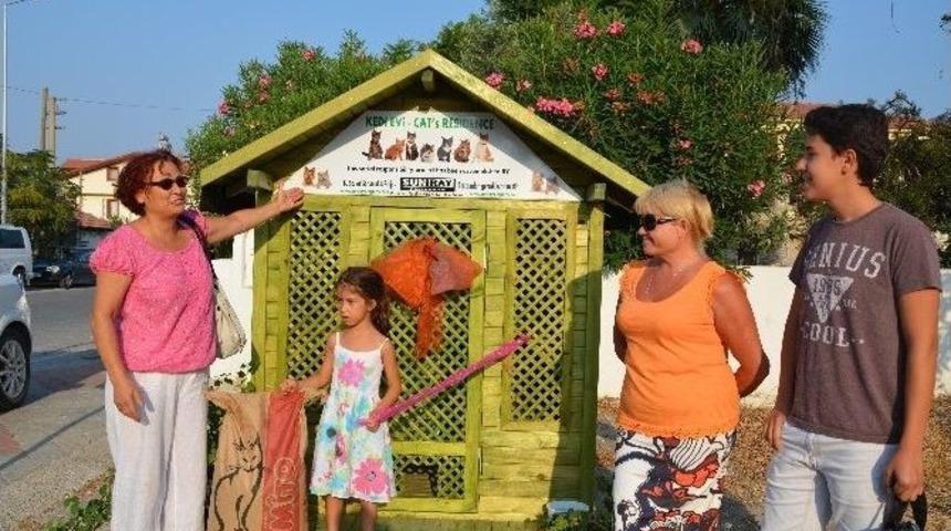 Ortaca&rsquo;da Sokak Kedilerine Modern Yuva