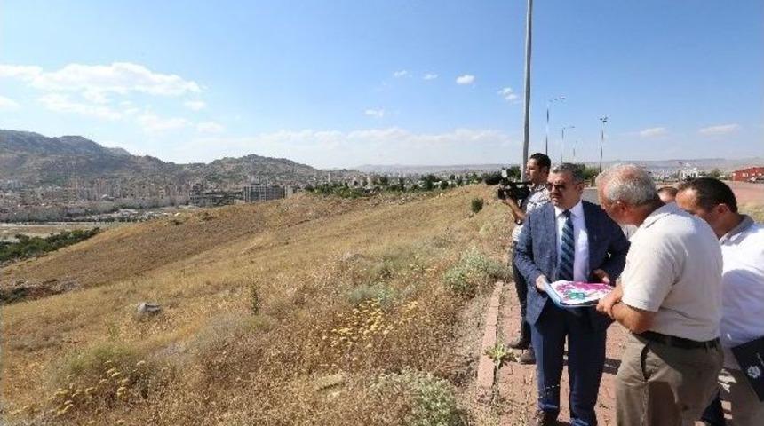 &Ccedil;elik&rsquo;in Yeşil Hassasiyeti