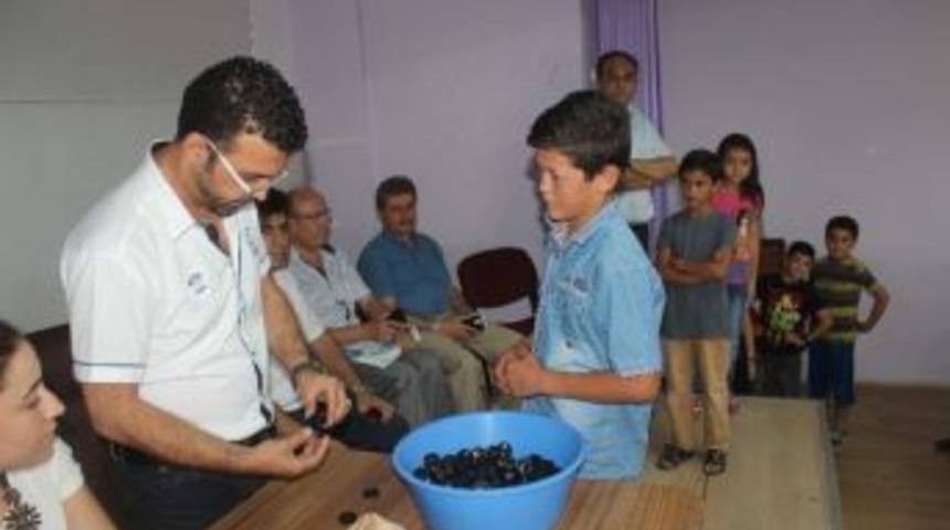 İş Umudu Leğen İçerisindeki Mis Kutularında