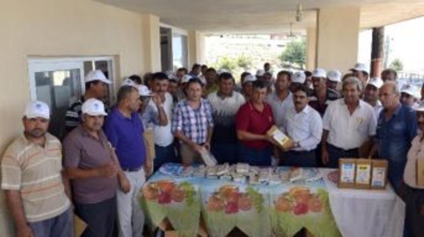 Erdemli&rsquo;de &Ouml;rt&uuml; Altı Domates Yetiştiricilerine 53 Bin Tuzak Dağıtıldı