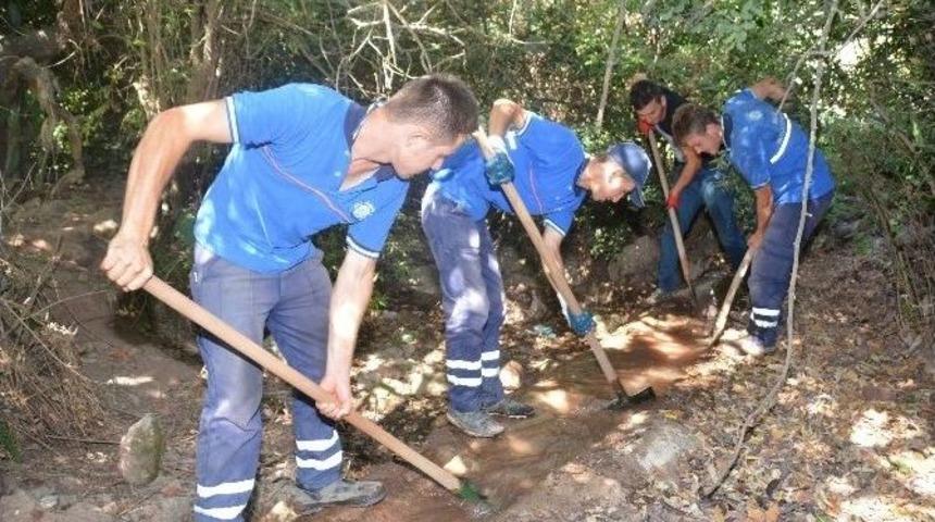 B&uuml;y&uuml;kşehir, 15 Yıl Sonra Tarımı Tekrar Canlandırdı
