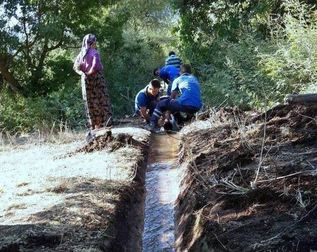 Büyükşehir, 15 Yıl Sonra Tarımı Tekrar Canlandırdı