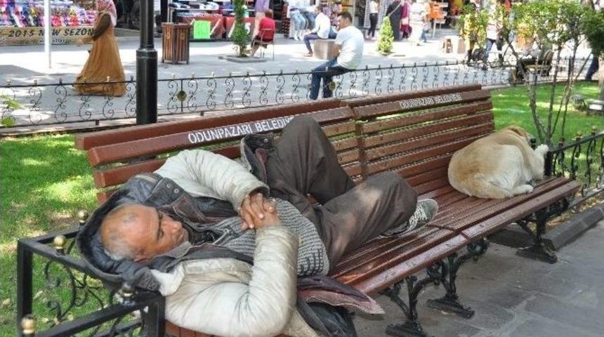 Bir Bankta İki Dost