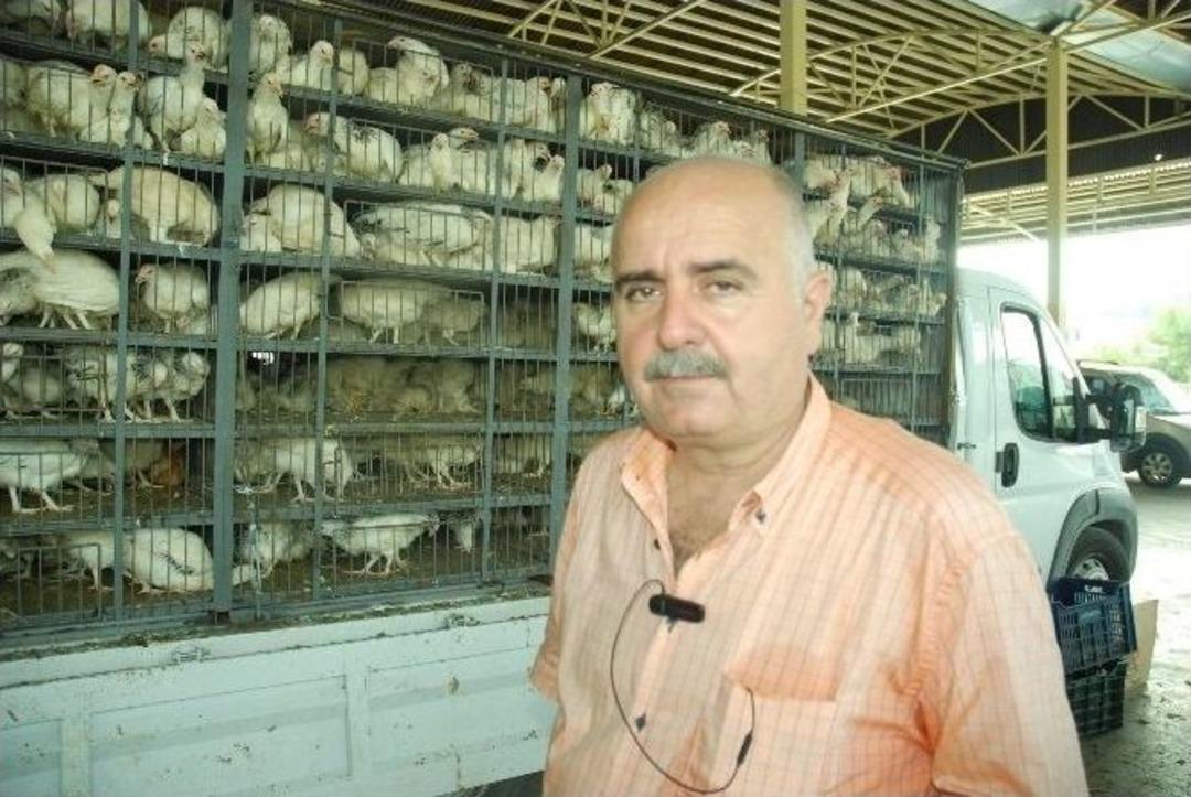 Manavgat Ziraat Odası 4 Bin Tane Tavuk Dağıttı