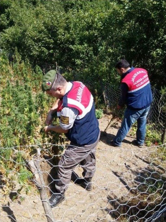 14 Gün İzlenen Uyuşturucu Tacirleri Kıskıvrak Yakalandı 1