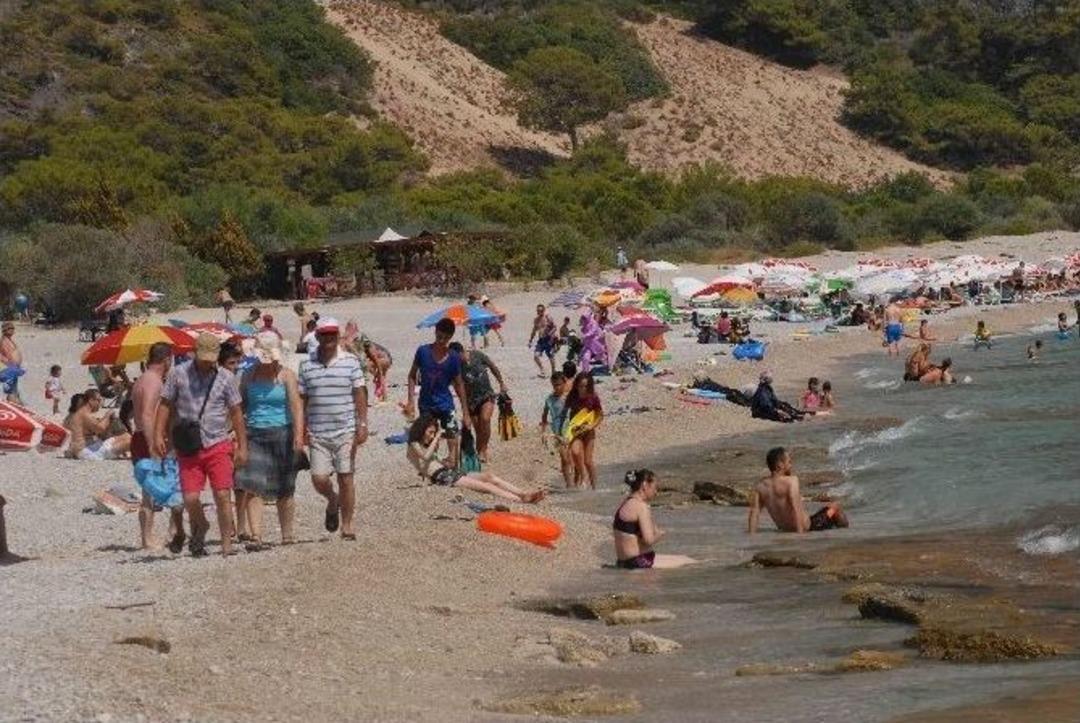 &Ouml;l&uuml;deniz Cıvıl Cıvıl