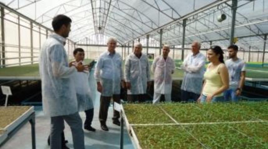 Tika Desteğiyle T&uuml;rkmenistanlı Heyete Seracılık Eğitimi