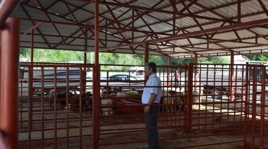 Hayvan Pazarı D&uuml;zenlenerek Hizmete Sunuldu