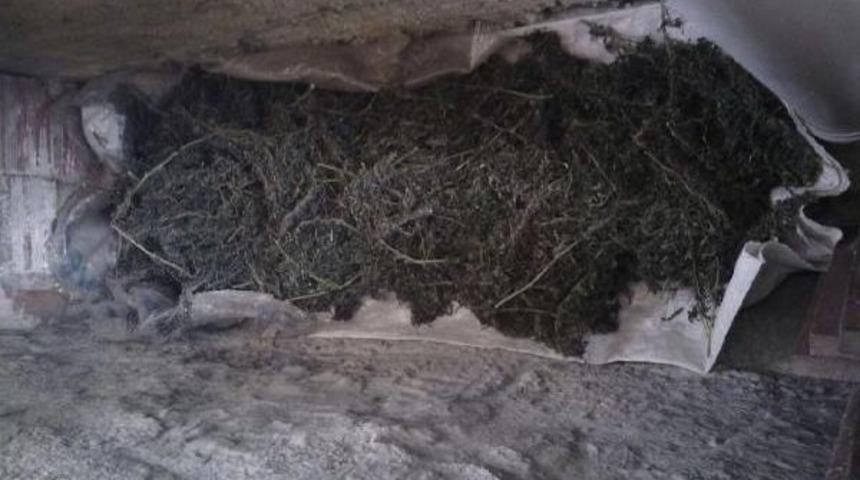 Jandarmadan Uyuşturucu Operasyonu