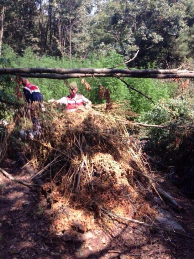 Jandarmadan Uyuşturucu Operasyonu 2