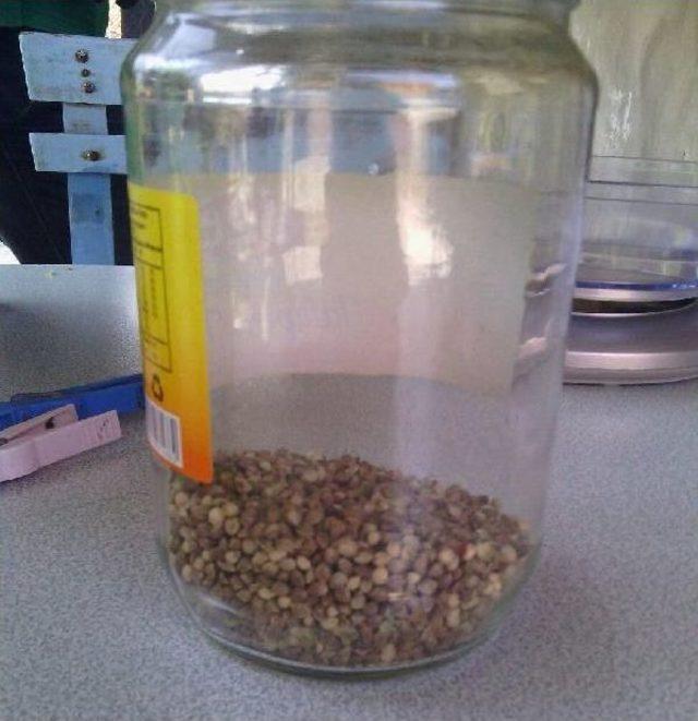 Jandarmadan Uyuşturucu Operasyonu 3