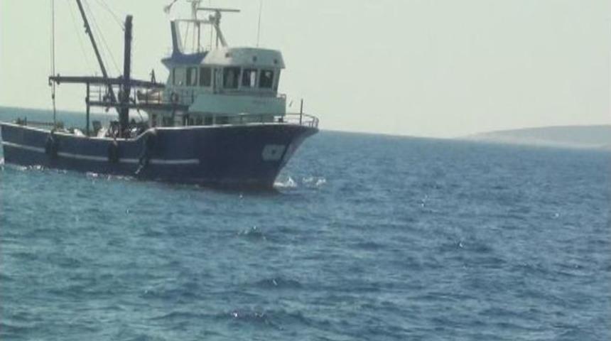 Trol İle Balık Avlayanlara Ceza